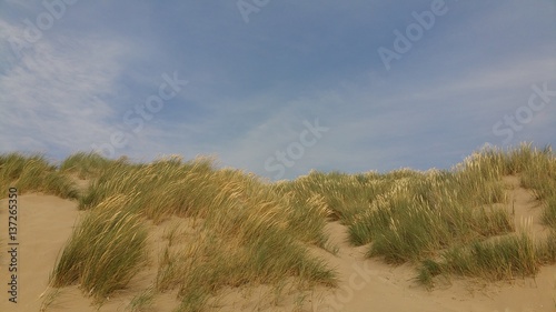 Dunes