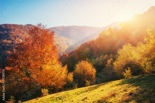 mountain range in the Carpathian Mountains in the autumn season