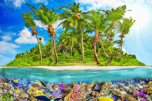 Tropical island in Ocean and beautiful underwater world.