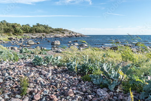 Coastal view of remote island in Finnish archipelago