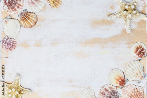 seashells and starfish border on white wooden board.