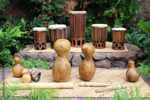 Hawaiian musical instruments used for hula