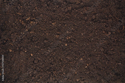 Fertile soil texture background seen from above, top view. Gardening or planting concept with copy space. Natural pattern