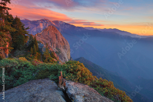 Quiet Morning in Sequoia Kings Canyon with Negative Space