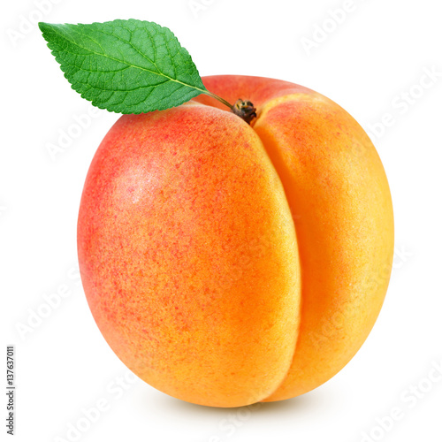 apricot fruits isolated