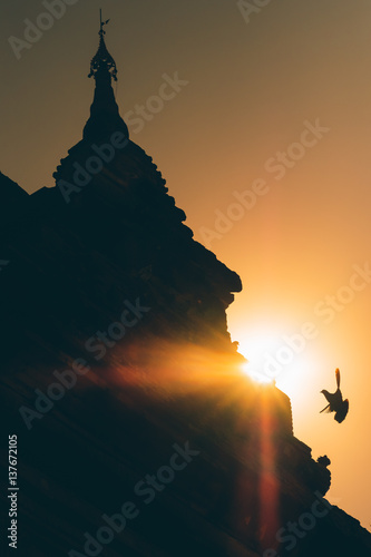 Silhouette pagoda at sunset with flying bird