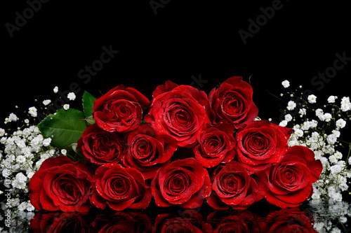 dozen red roses black background