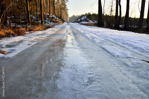Droga w zimowym lesie ze śniegiem pokryta wodą i lodem.