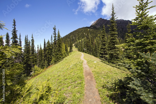Hiking trail heads up a steep mountain ridge