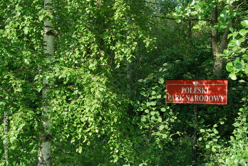 Poleski Park Narodowy, Sciezka Dydaktyczna "Dab Dominik".