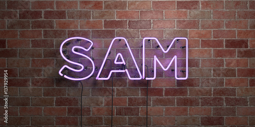 SAM - fluorescent Neon tube Sign on brickwork - Front view - 3D rendered royalty free stock picture. Can be used for online banner ads and direct mailers..
