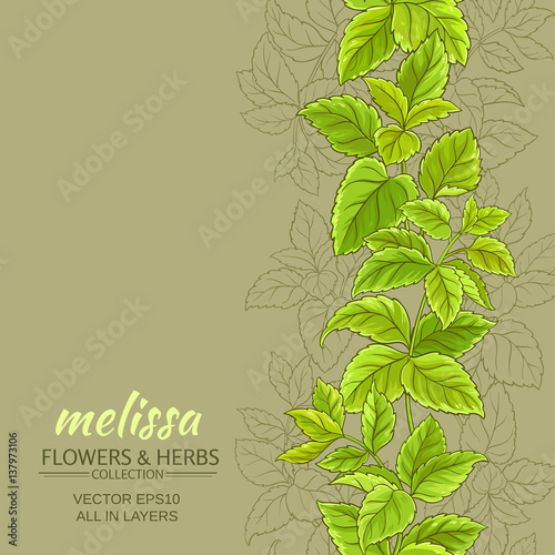 melissa vector background