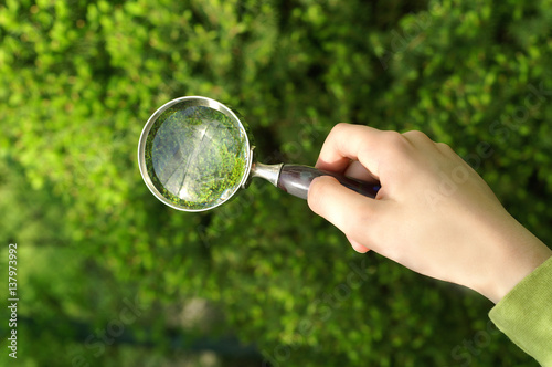 Magnifying glass in hand against plant
