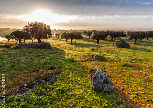 Dawn in Extremadura.