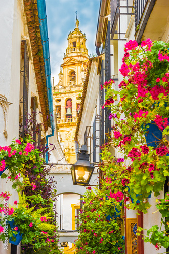 Calleja de las Flores, Cordoba, Spain