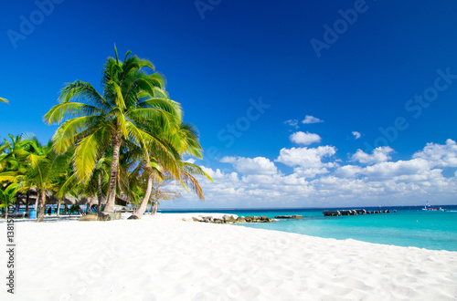 tropical beach