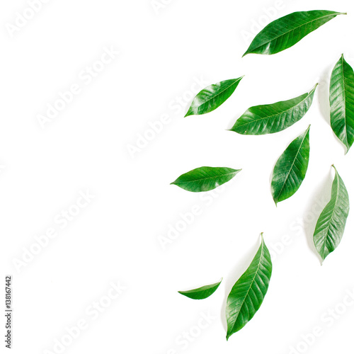 Green leaves, branches on white background. Flat lay, top view. Leaf pattern texture.