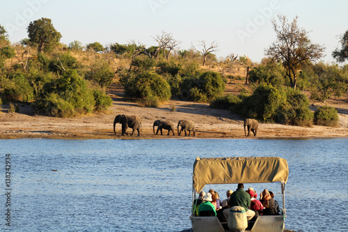 Elefanten und Touristenboot am Chobe Fluss