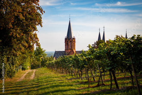 Oppenheim Katharinenkirche Weinberg