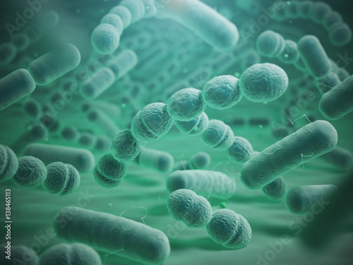 Various bacteria cells in microscope. Streptococcus pneumonia, pneumococcus, enterobacteriaceas, escherichia coli, salmonella, klebsiella and others.