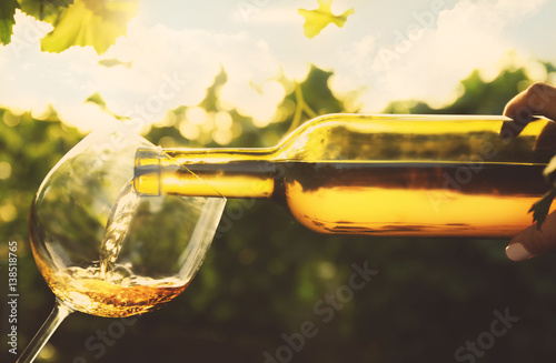 Pouring wine into glass on blurred nature background