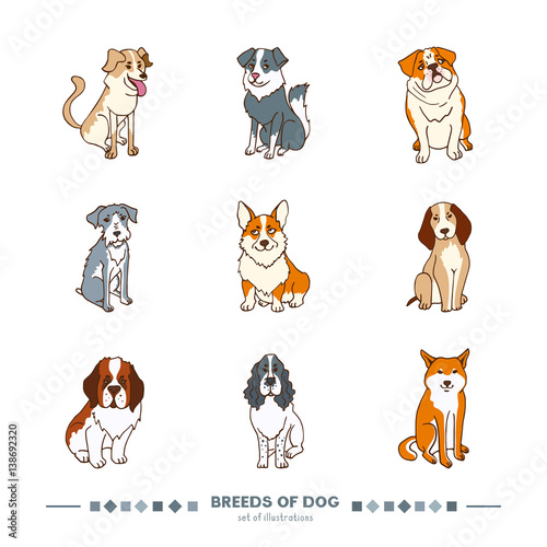 Set of dog's breeds. Funny cartoon style color illustration. Saint Bernard, Shiba Inu, Welsh Corgi, Schnauzer.