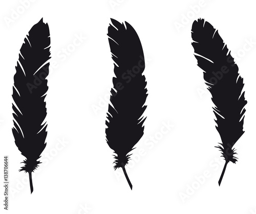 Three feathers silhouette - Raven feathers