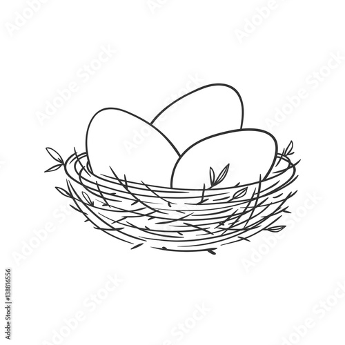 Vector linear illustration with eggs in the nest isolated on white.