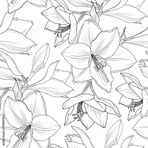Amaryllis hippeastrum lilly floral seamless pattern. Spring summer flowers detailed black and white drawing outline sketch. Vector design illustration for textile, fabric, decoration, packaging.