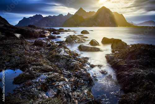 sunset over the mountain at Moskenes, Lofoten Island - Norway with stranded seaweed on the rocks