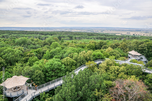 Ausblick vom Baumkronenpfad Hainich - Nationalpark Hainich