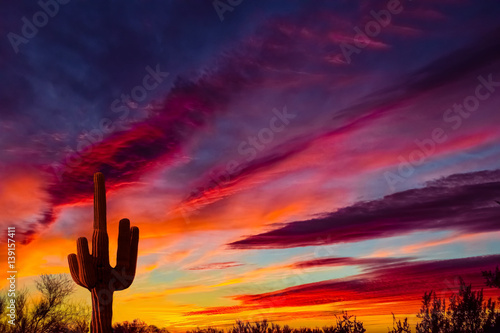 Arizona pustynny krajobraz z Saguaro Cactus w sylwetce