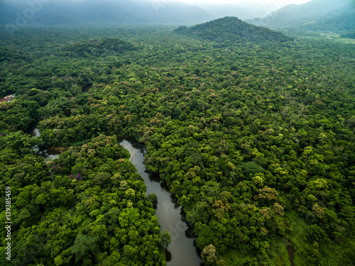 Aerial View of River in Rainforest, Latin America