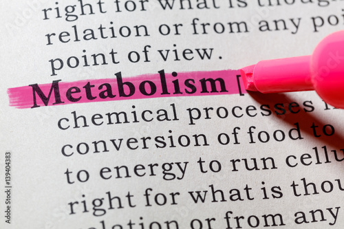 definition of metabolism