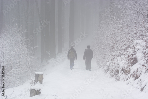 Tourists in the woods on a forest road with snow and fog.
