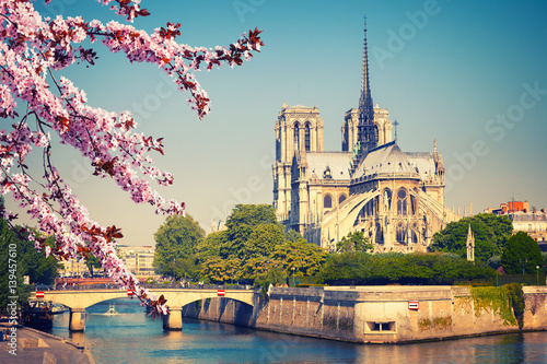 Notre Dame de Paris at spring, France
