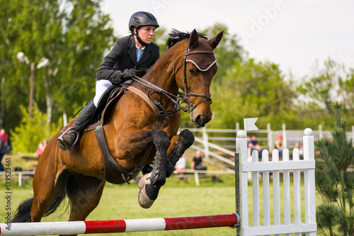 horse jumping