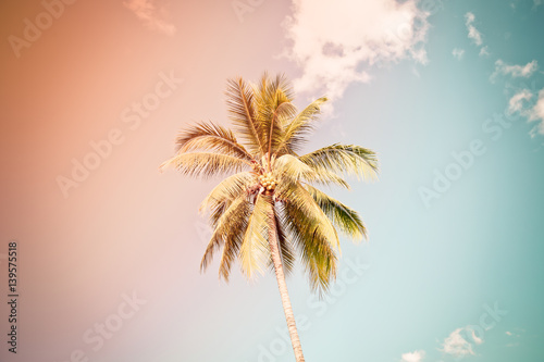 coconut tree under cloud and blue sky, vintage tone