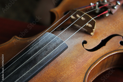 Detail of violin