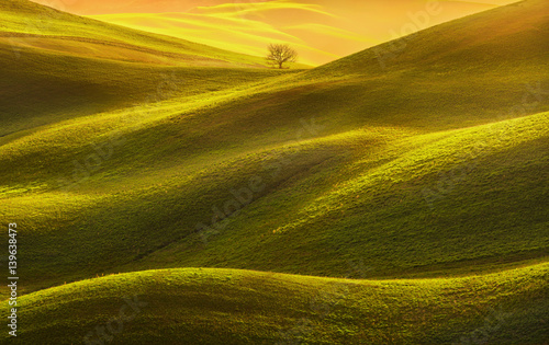 Tuscany panorama, rolling hills, fields, meadow and lonely tree. Italy