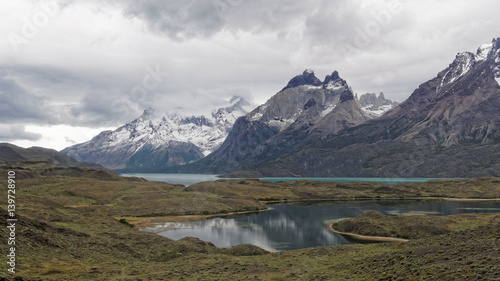 Chili, Patagonie, Sabot de la Vierge, Calceolaria, Uniflora, sabot, ViergeCuernos del Paine