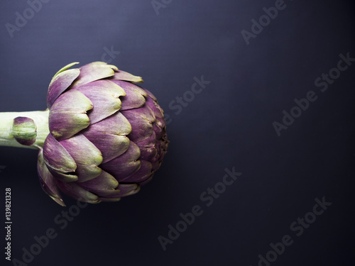 Fresh globe artichoke isolated on dark background