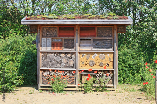 Großes Insektenhotel mit Mohnblumen im Vordergrund