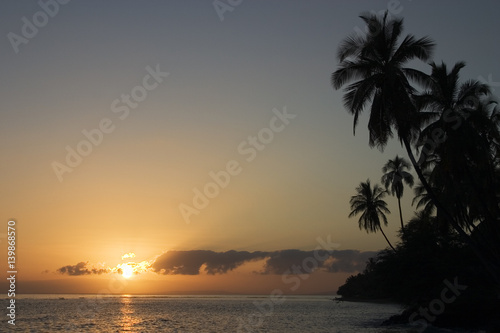 Palm trees and a Maui sunset