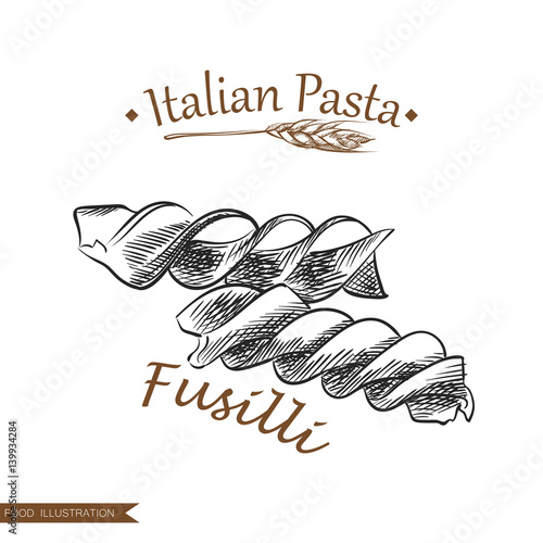 Hand drawn fusilli pasta isolated on white background. Italian pasta sketch style vector illustrator.