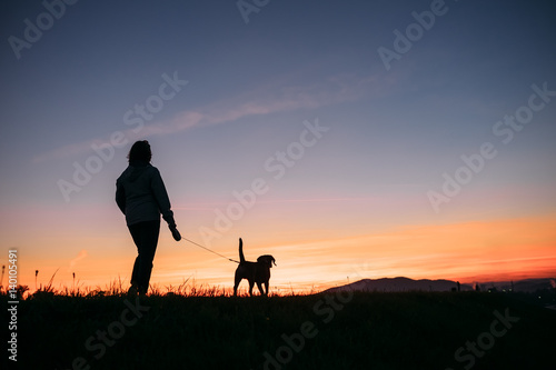 Sunset silhouettes woman and dog on the walk