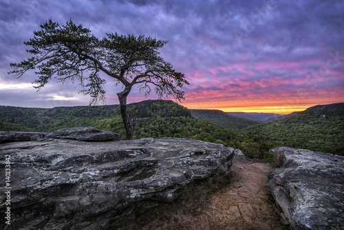 Summer sunset, lone pine tree, Fall Creek Falls State Park Tennessee