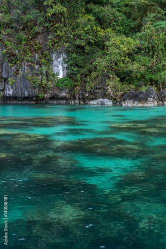 The crystal clear waters of a tropical island lagoon showing the rocks and plant life below with a cliff face background covered in trees and plants.