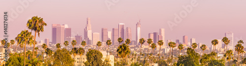 Downtown Los Angeles and Palm Trees at Sunset