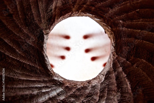 inside djembe drum